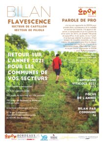 Bilan Flavescence 2021 : Secteur de Castillon et de Pujols