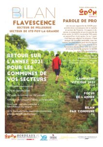 Bilan Flavescence 2021 : Secteur de Pellegrue et de Sainte Foy la Grande