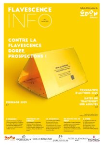 Flavescence Info n°3
