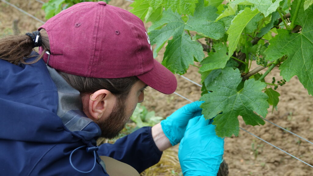 Campagne 2025 : le bilan