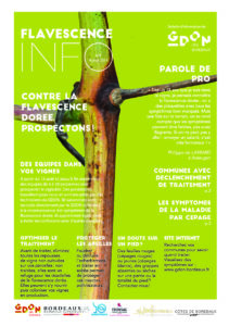 Flavescence Info n°6 – 2019
