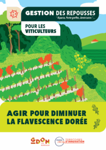 Plaquette sur les repousses de vigne