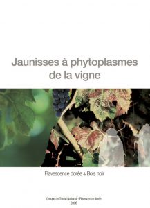 Plaquettes sur les jaunisses à phytoplasme de la vigne