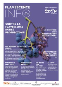 Flavescence Info n°5
