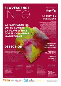 Flavescence Info n°2 – 2019