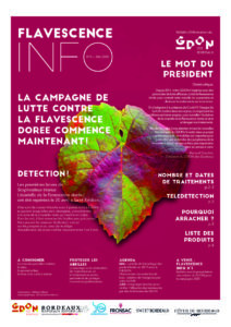 Flavescence Info n°2 – 2020