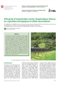 Insecticides en viticulture biologique et effets secondaires