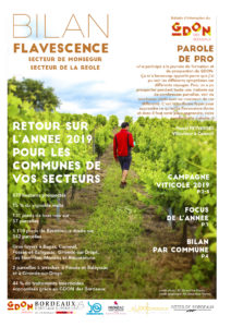 Bilan Flavescence 2019 : secteurs Monségur et La Réole