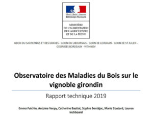 Rapport technique des maladies du bois en Gironde en 2019